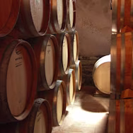 Barriques im Weinkeller des Weinguts Podere Poggio Scalette