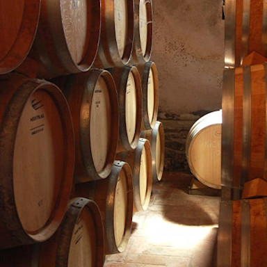 Barriques im Weinkeller des Weinguts Podere Poggio Scalette