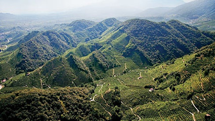 Das Aushängeschild der wunderschönen Region ist und bleibt der Amarone.