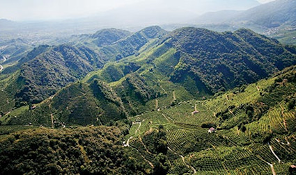 Das Aushängeschild der wunderschönen Region ist und bleibt der Amarone.