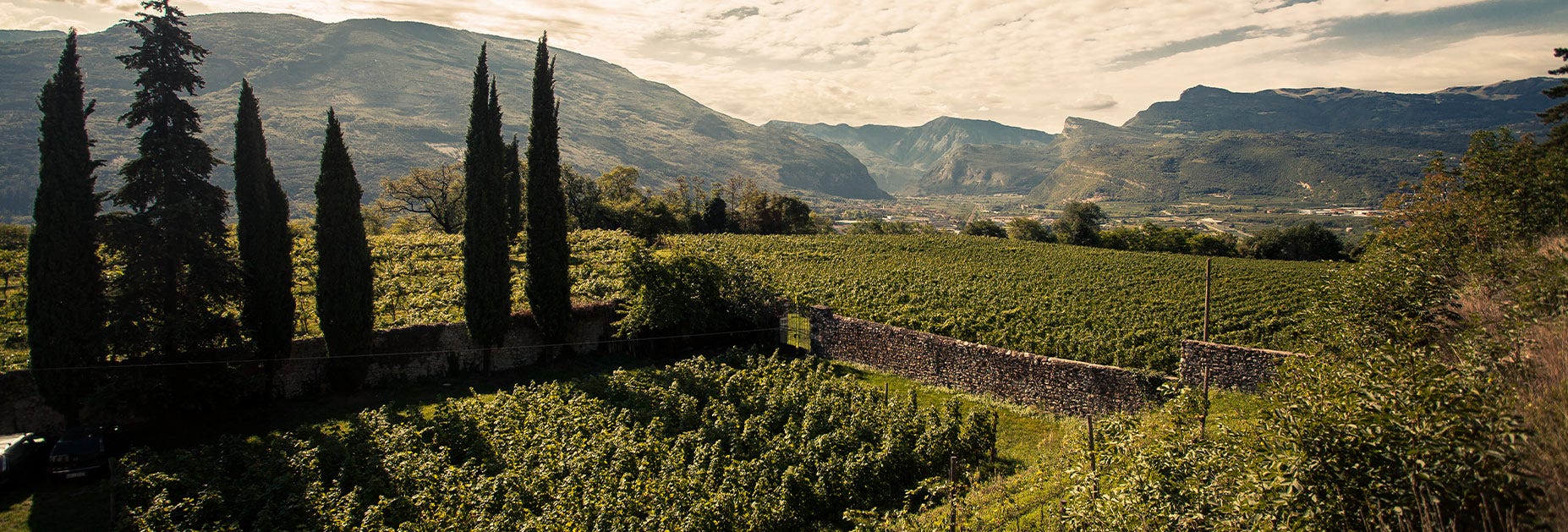 Blick über das Land vom Weingut Conti Bossi Fedrigotti, welches zum Hause Masi gehört.