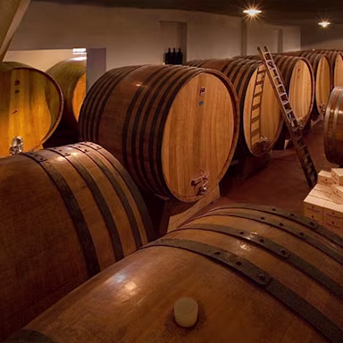 Blick in den Keller der grossen Holzfässern auf dem Weingut Bruno Giacosa