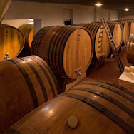 Blick in den Keller der grossen Holzfässern auf dem Weingut Bruno Giacosa