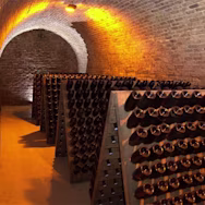 Champagnerflaschen im Rüttelpult im Weingut Thienot