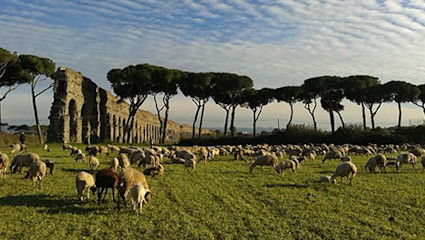 Auf vulkanischen Böden fühlen sich Trebbiano und Merlot besonders wohl.