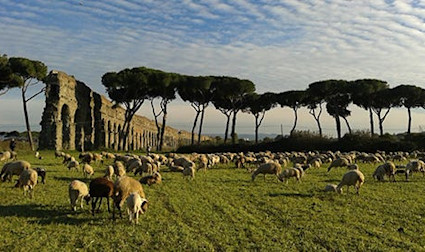 Auf vulkanischen Böden fühlen sich Trebbiano und Merlot besonders wohl.