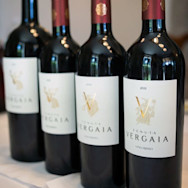 Flaschen mit verschiedenen Jahrgängen Vergaia