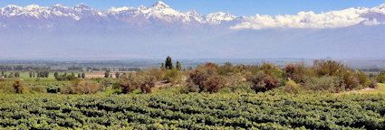 Masis Weingut Tupungato lässt die argentinische Sonne die Trauben gut gedeihen