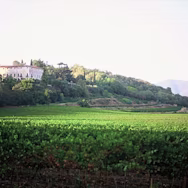 Blick auf den Sitz des Weinguts Montenisa in der Lombardei