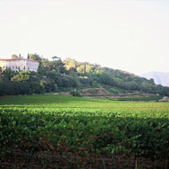 Blick auf den Sitz des Weinguts Montenisa in der Lombardei