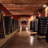 Blick in den Keller des Weinguts Banfi im Piemont