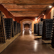 Blick in den Keller des Weinguts Banfi im Piemont