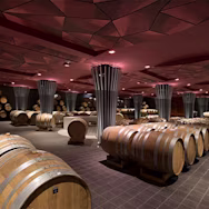 Grosser Barriquekeller auf dem Weingut Beni di Batasiolo