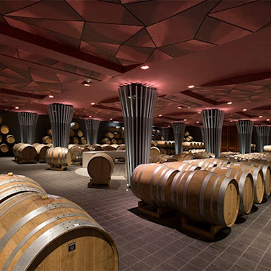 Grosser Barriquekeller auf dem Weingut Beni di Batasiolo