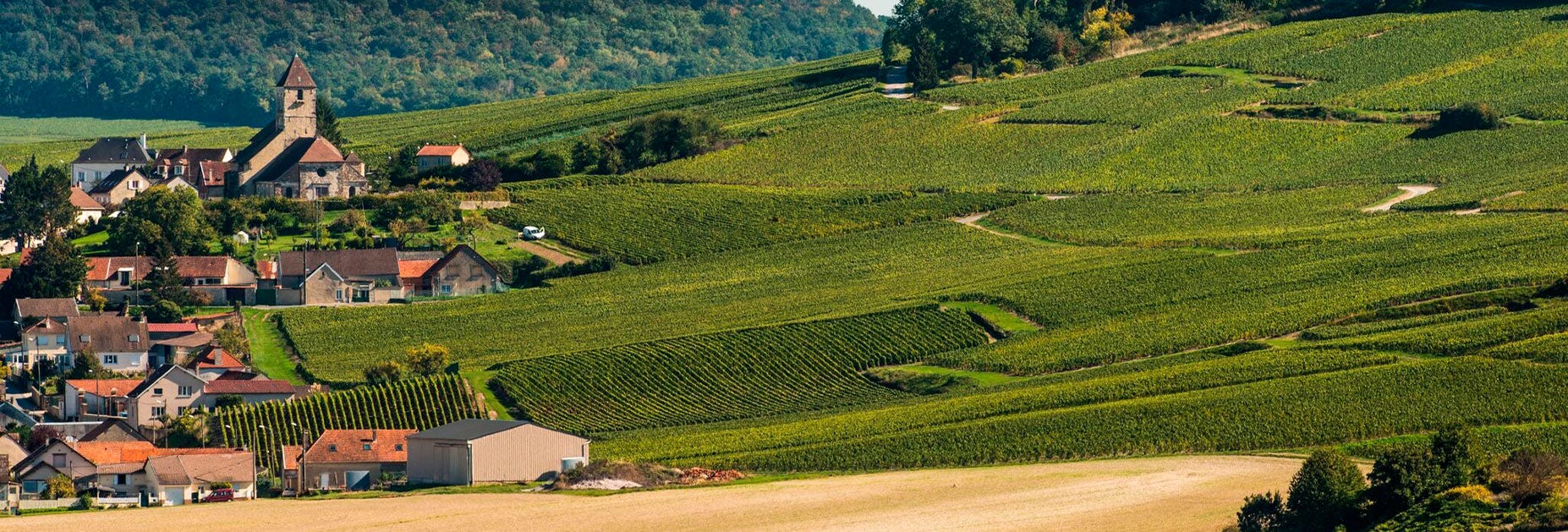 Sicht über die Region der Champagne