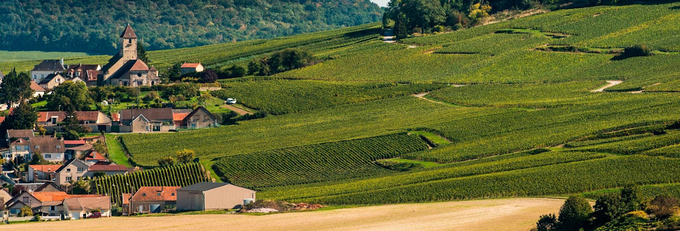 Sicht über die Region der Champagne