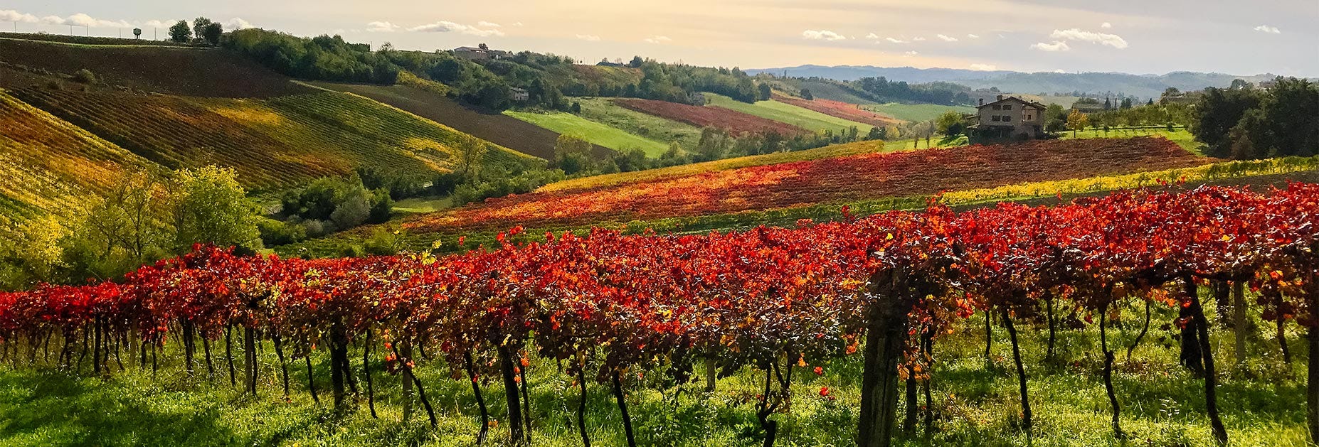Herbstliche Stimmung über den Rebbergen der Region Emilia-Romagna