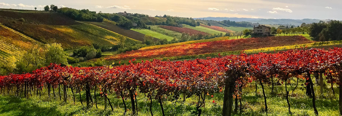 Herbstliche Stimmung über den Rebbergen der Region Emilia-Romagna