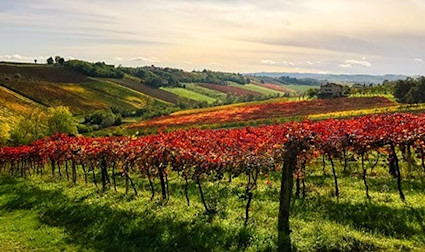Kurzformel zum Merken: Emilia = Lambrusco, Romagna = Sangiovese.