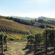Blauer Himmel über den Rebbergen von Franco M. Martinetti im Piemont