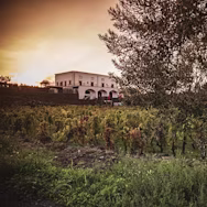 Abendstimmung bei der Tenuta Tascante in Sizilien