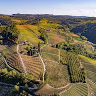 Blauer Himmel über den Rebbergen des Weinguts Poderi Colla
