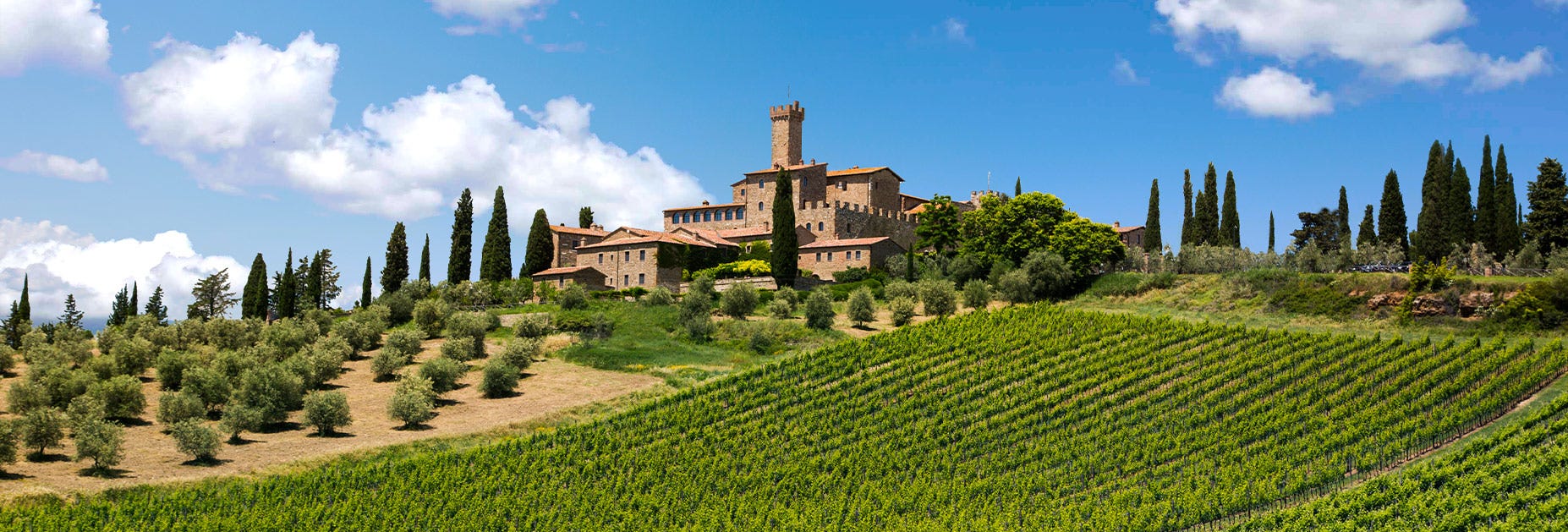 Strahlend blauer Himmer beim Weingut Castello Banfi in der Toskana