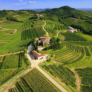 Blick von oben auf die saftig grünen Rebbergen von Torre Rosazza und dessen Häuser