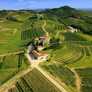 Blick von oben auf die saftig grünen Rebbergen von Torre Rosazza und dessen Häuser