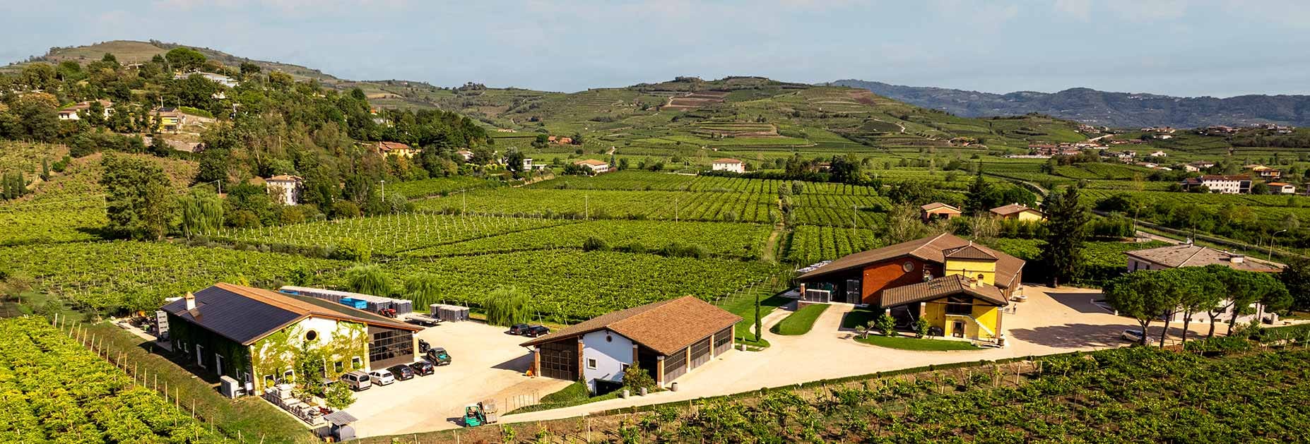 Blick auf das Weingut Prà mit seinen Weinbergen