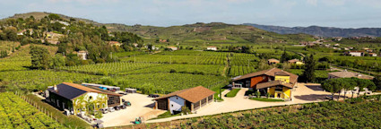 Blick auf das Weingut Prà mit seinen Weinbergen