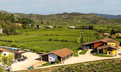 Blick auf das Weingut Prà mit seinen Weinbergen