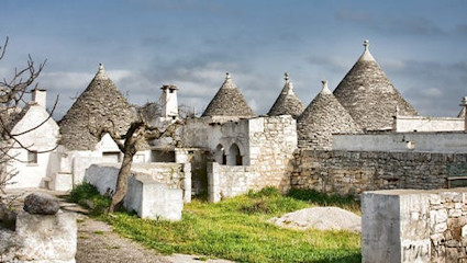 Eine Region im Aufwind: durch Negroamaro, Primitivo und Uva di Troia.