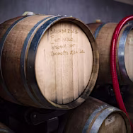 Im Barrique-Keller von Sancaba