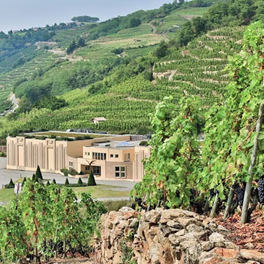 Steile Rebberge, die zum Weingut Vidal-Fleury gehören