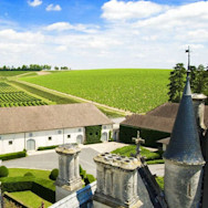 Direkter Blick auf die vielen Reben von Domaine de Ladoucette