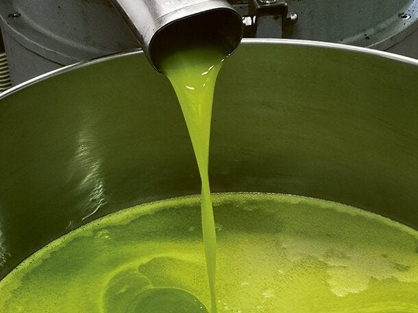 bindella-blog-vom-hain-auf-den-tisch-02-iblog