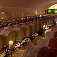 Weinkeller mit vielen Holzfässern auf dem Weingut Château Cabrières