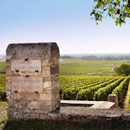 Blick über die Rebberge der Domaine Jacques Prieur im Burgund