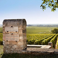 Blick über die Rebberge der Domaine Jacques Prieur im Burgund