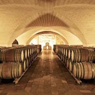 Barriquefässer im Keller der Tenuta Bocca di Lupo