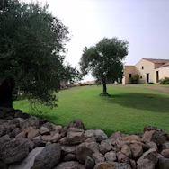 Blick in den Garten des Hauptgebäudes von Punica auf Sardinien
