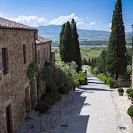 Zypressen zieren das Weingut Banfi in der Toskana