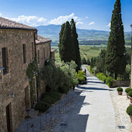 Zypressen zieren das Weingut Banfi in der Toskana