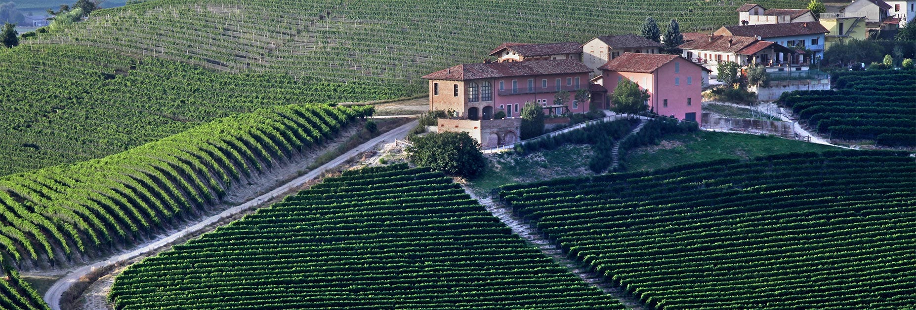 Das Gebäude mit dem gesamten Weinkeller von Prunotto unrundet von unzähligen Rebbergen im wunderschönen Piemont