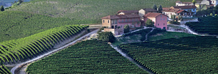 Das Gebäude mit dem gesamten Weinkeller von Prunotto unrundet von unzähligen Rebbergen im wunderschönen Piemont