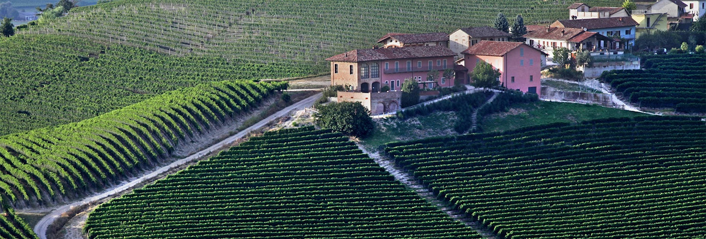 Das Gebäude mit dem gesamten Weinkeller von Prunotto unrundet von unzähligen Rebbergen im wunderschönen Piemont