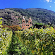 Blick in die wilde Natur rund um das Weingut Hauner auf Sizilien