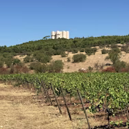 Blick auf die Burg auf dem Weingut Rivera