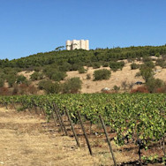 Blick auf die Burg auf dem Weingut Rivera
